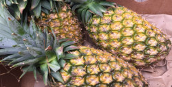 La piña tiene antioxidantes, vitaminas, minerales y otras ventajas saludables