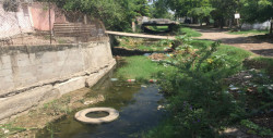 Cada vez peor arroyo en la CNOP