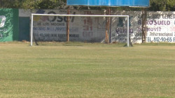 IMDA probará su propio pasto