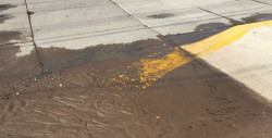 Agua brota por el pavimento de la calle Pastor Rouaix