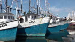 ¡Alerta Roja en el sector pesquero!
