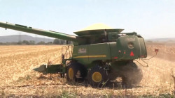 Producción agrícola marcha por buen camino