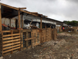 Nueva invasión alberga a más de 30 familias
