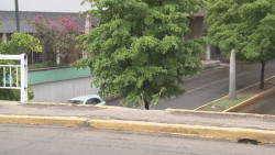 Peligran peatones al cruzar puente Hidalgo