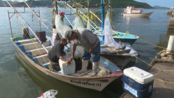 Urgen pescadores, mayor vigilancia en el mar