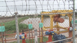Realizan trabajos para evitar basura en la Derivadora