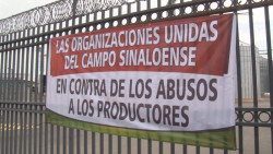 Productores maiceros toman las bodegas de la empresa Granos de Sinaloa
