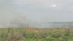Persiste la quema de socas en el valle de Culiacán, generando mayor contaminación