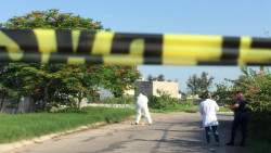 Asesinan a mujer, le dejan sapos colgados en el cuello
