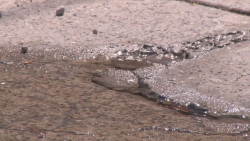 Fuga de agua en Loma Linda