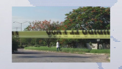 Investigan el significado de los "sapos" encontrados en el cuerpo de una mujer asesinada