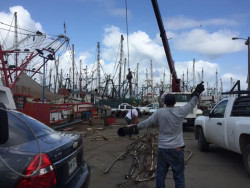 Pocos barcos inician trabajos de avituallamiento