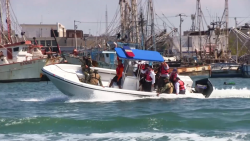 CONAPESCA logra el decomiso de 1.6 toneladas de productos marinos