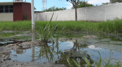 Afecta desborde de aguas negras a escuela primaria Jóse Cayetano Valades