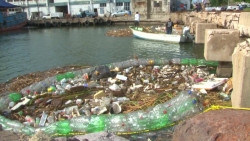 En emergencia la biobarda en Mazatlán