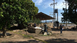 Encuentran a una persona asesinada en un campo agrícola
