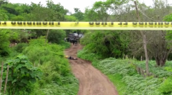 Localizan 5 cuerpos sin vida en zona rural norte de Mazatlán