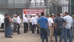 La CAADES asegura que no hay duda sobre el recurso del gobierno federal para el pago del ingreso objetivo