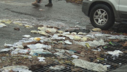 Siguen tirando basura en las calles