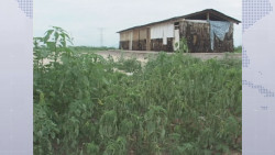 Sinaloa no tendrá aulas de cartón