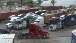 Estibadores de Mazatlán con buenos niveles de ocupación