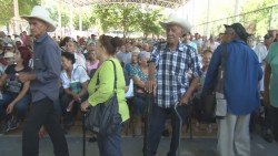 Sin llegar apoyos para adultos mayores y becas
