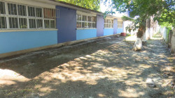 Fumigarán 115 escuelas esta semana