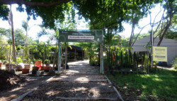 Conoce el vivero del Jardín Botánico
