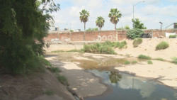Olvidados habitantes de Paseo de los Arcos