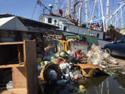 Mucha basura y poco trabajo en el muelle del parque Bonfil