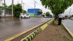 Asesinan a hombre originario de Guasave