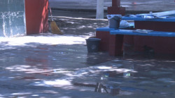 Se mete el agua en la Primaria  Flores Magón