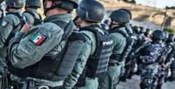 Ejército y la Marina  están actuando con mucha responsabilidad