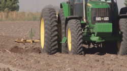 Preocupante que no se contemplen recursos en el Presupuesto 2020 en Alianza para el Campo