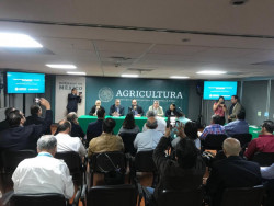 Armadores esperan buenas noticias en México
