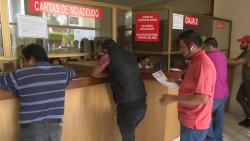 Pérdidas en la recaudación fiscal se han incrementado