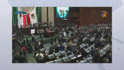 Llaman a productores agrícolas a "tomar" el Congreso de la Unión
