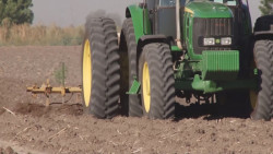 Urge que autoridades y productores analicen costos de producción de los granos