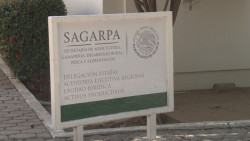 Agricultura del Estado asume funciones de la desmantelada SADER