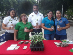 Un éxito donación de árboles de la UAS