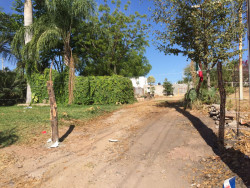 Desarrolladores de fraccionamientos deben incluir infraestructura verde
