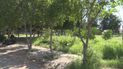Parque enmontado en Paseo de Los Arcos