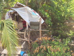 Construyen casita en árbol pegado a canal pluvial