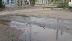 Se reporta en Villa Verde Fuga de Agua potable