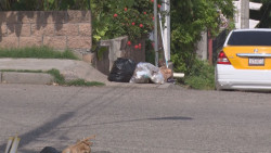 Con basura la colonia Díaz Ordaz y Libertad