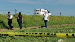 Muere atropellado jornalero agrícola