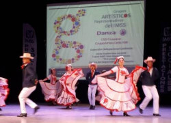 Encuentro Delegacional de Grupos Artísticos (GARIMSS) 2019