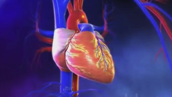 Infartos al corazón principal causa de muerte