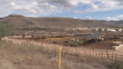 El sector ganadero requiere de un mayor presupuesto para atender las sanidades