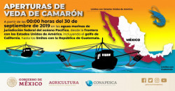 Se levanta la veda del camarón en altamar